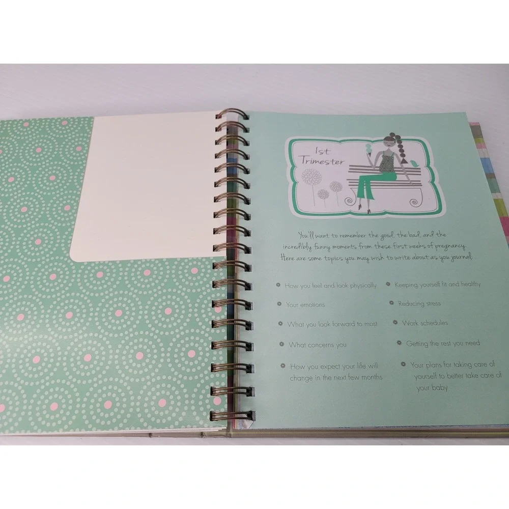 C.R. Gibson‎ Pregnancy Journal Multi Stripe Robin Zingone Memory Book